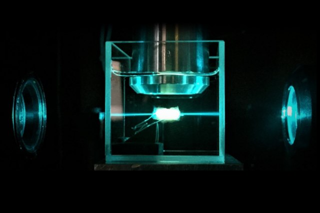 Revolucija u dijagnostici tumora: Nauènici u Beèu razvili tehniku koja omoguæava 3D prikaz FOTO